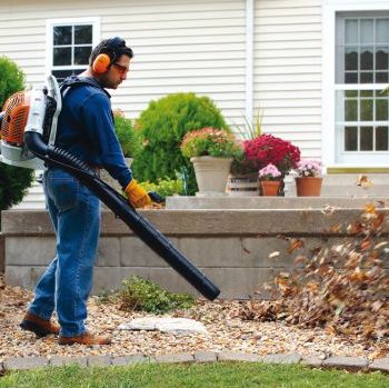 Leaf Removal – Go Green Heaven